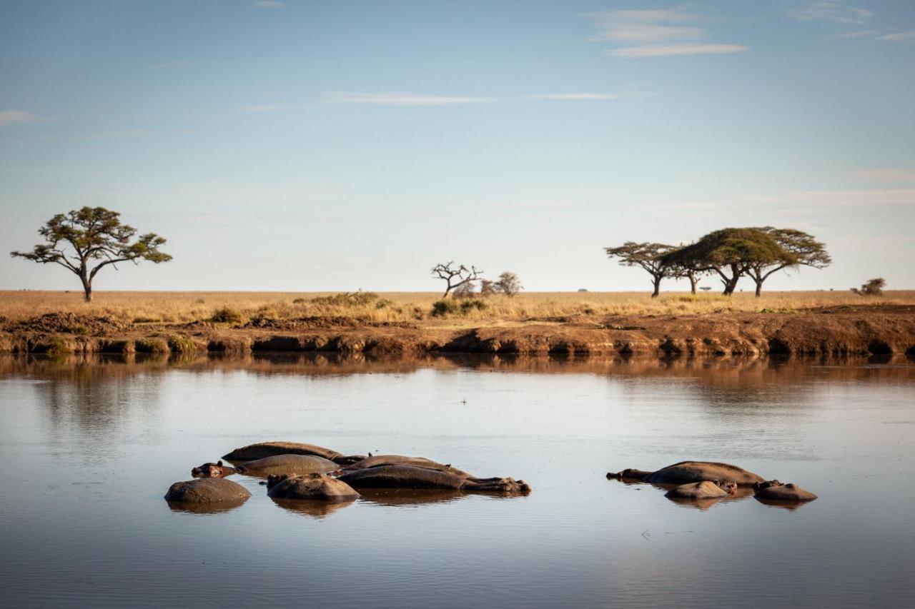 Mawe Tented Camp Серенгети Экстерьер фото