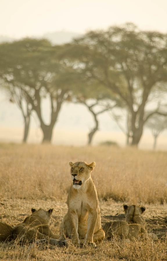 Mawe Tented Camp Серенгети Экстерьер фото